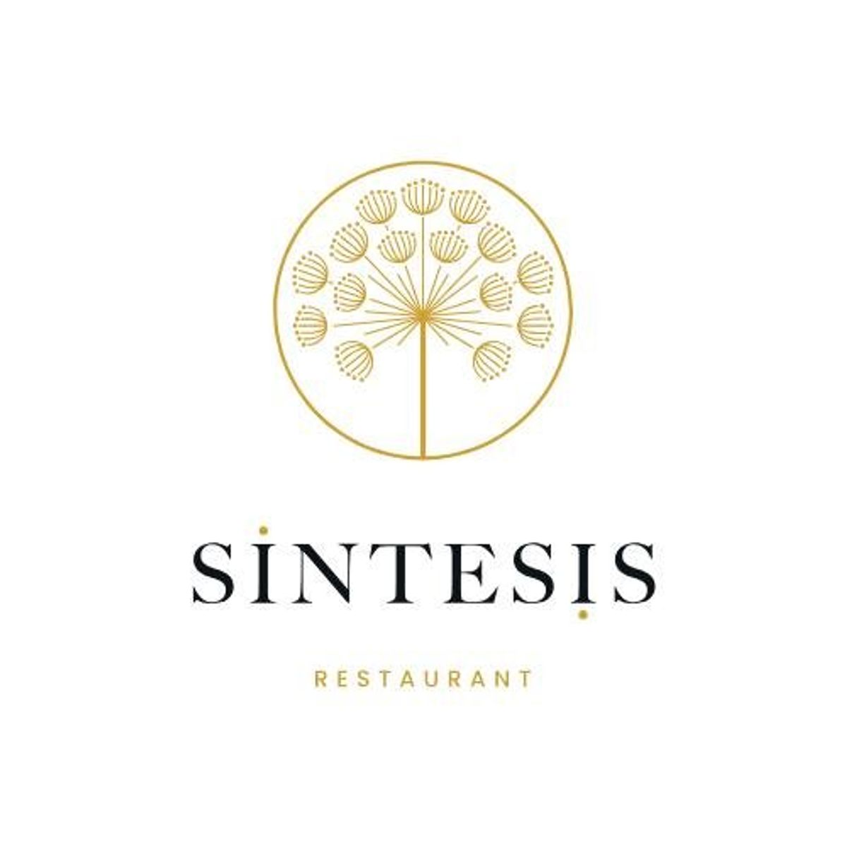 Síntesis Síntesis