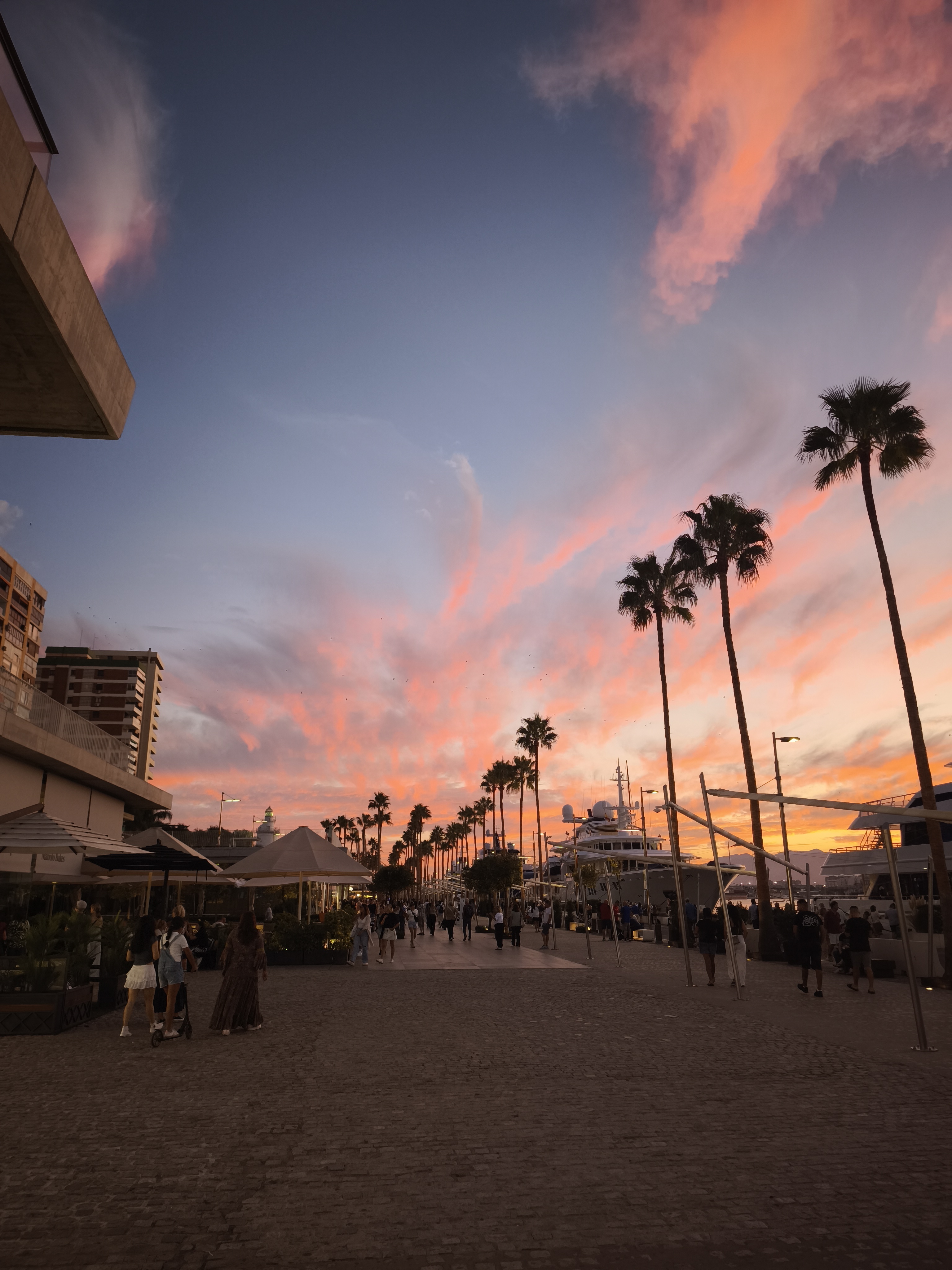 Trabajo de campo en restaurantes de Malaga
